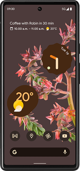Google Pixel 6