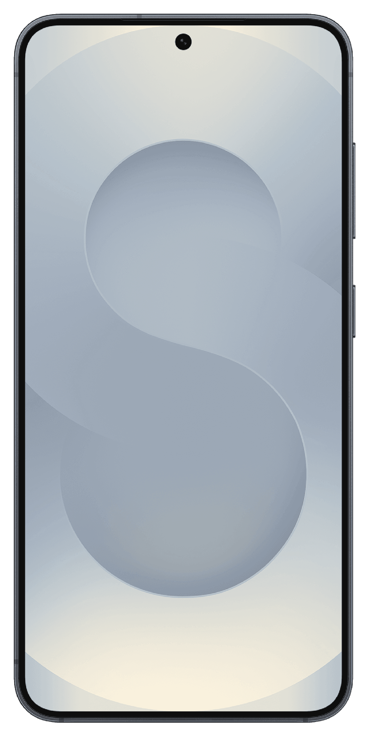 Samsung Galaxy S25